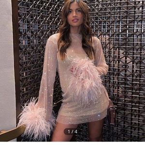 Mesh Feather Dress
